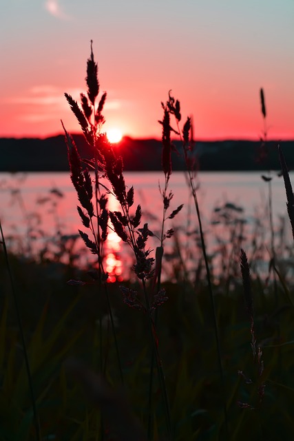 Professionelles Team von Bildungsberatern bei der Zusammenarbeit
