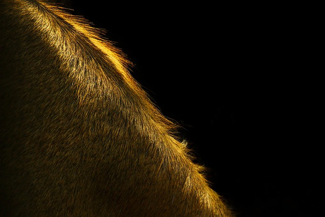 Prozessdiagramm für Schulorganisation auf einem Flipchart