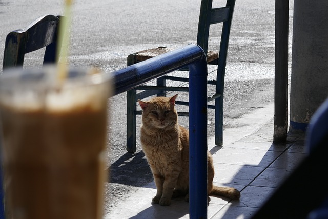Lehrkräfte aus vier Grundschulen arbeiten gemeinsam an Bildungskonzepten