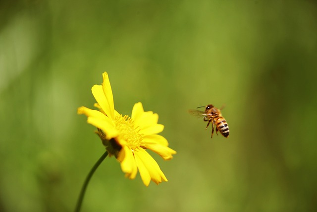 Digitale Bildungsstrategie wird auf einem Whiteboard in einer Schule präsentiert